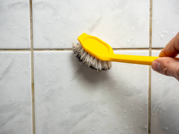 Best Localized Mold Remediation (e.g., coastal areas, humid climates) in Pretty Bayou, FL